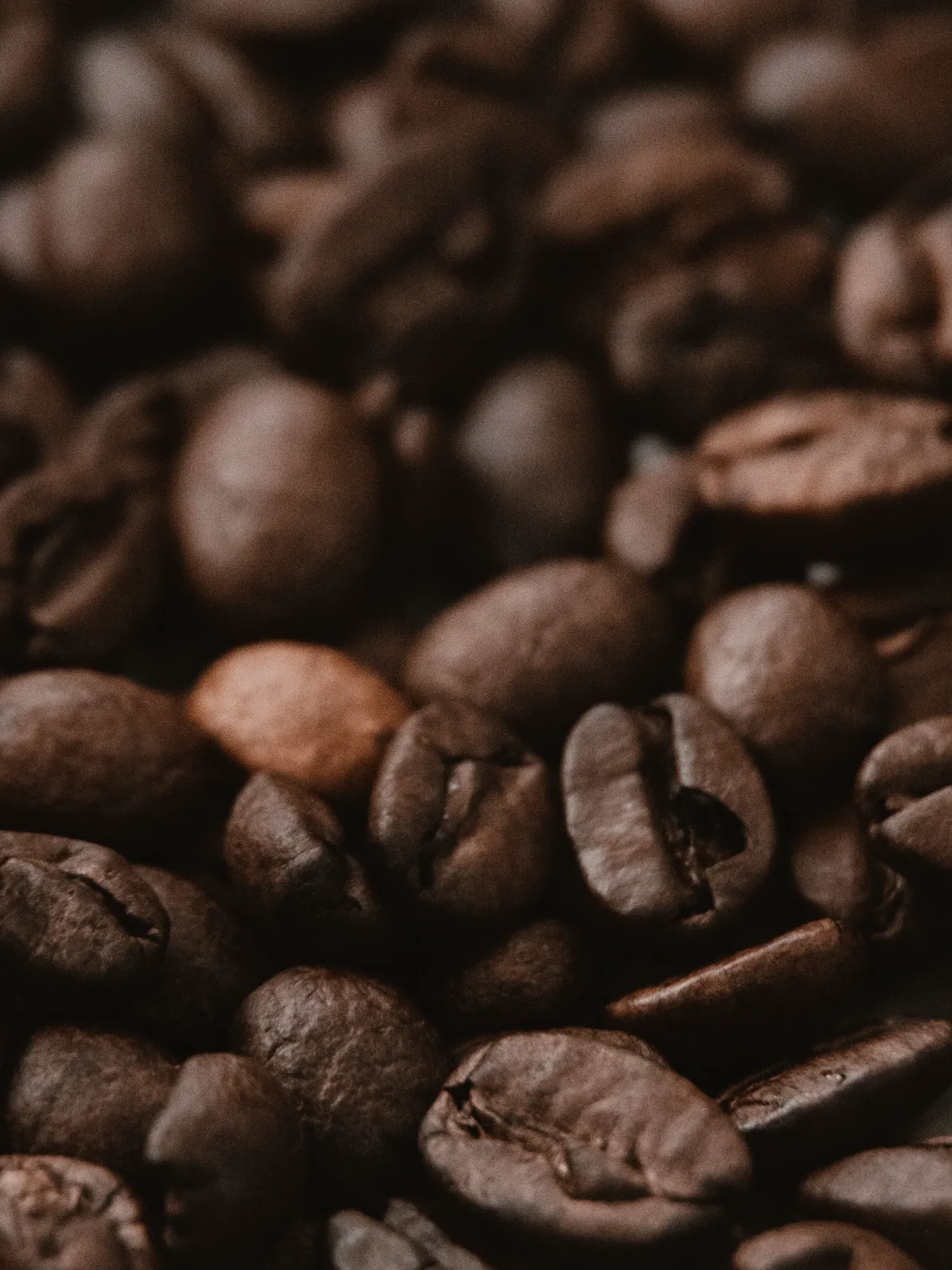 Granos de café tostado