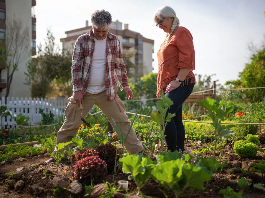 Vecinos cultivando en un huerto urbano
